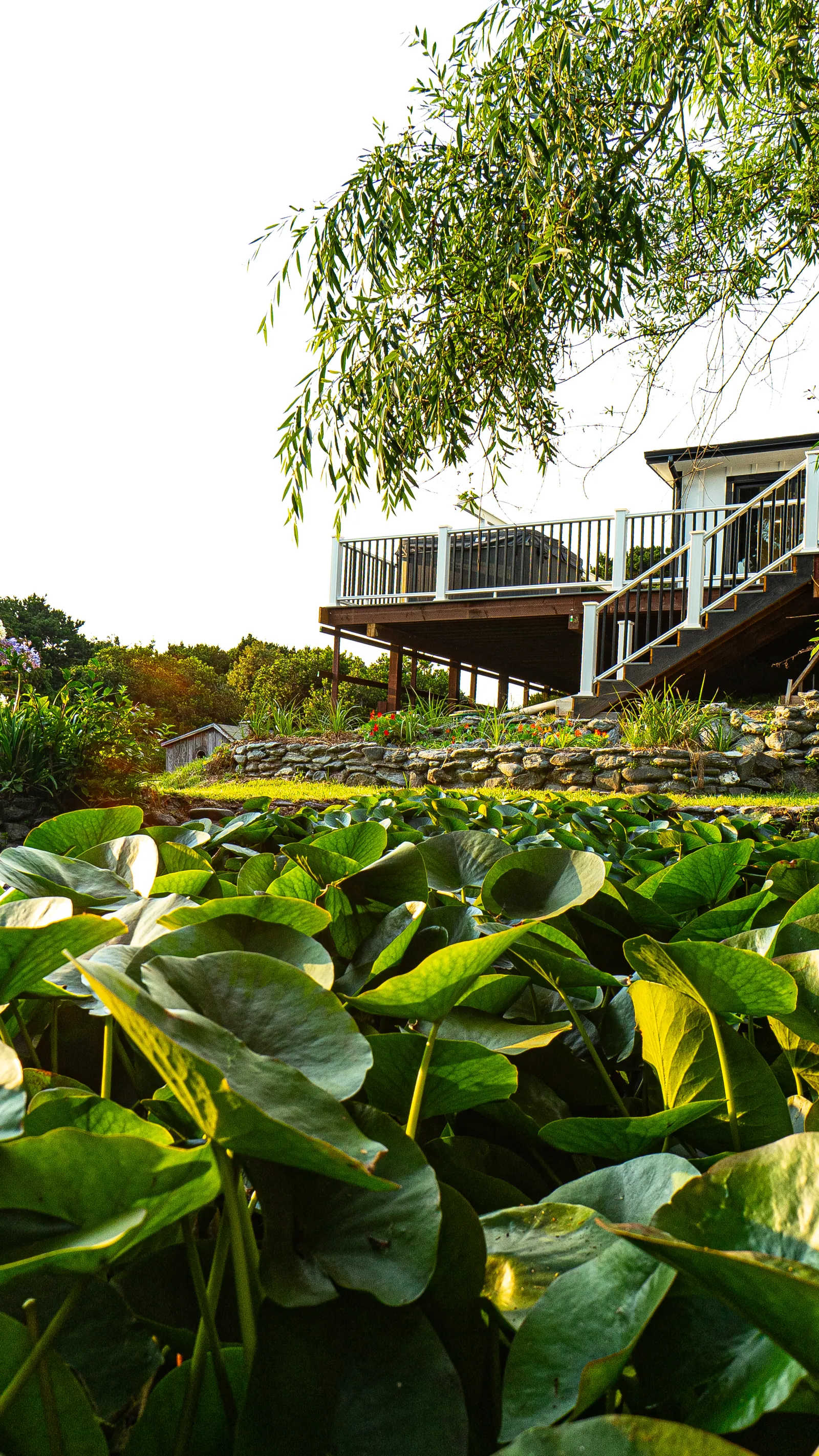 The Lily Pond House, property photo 31